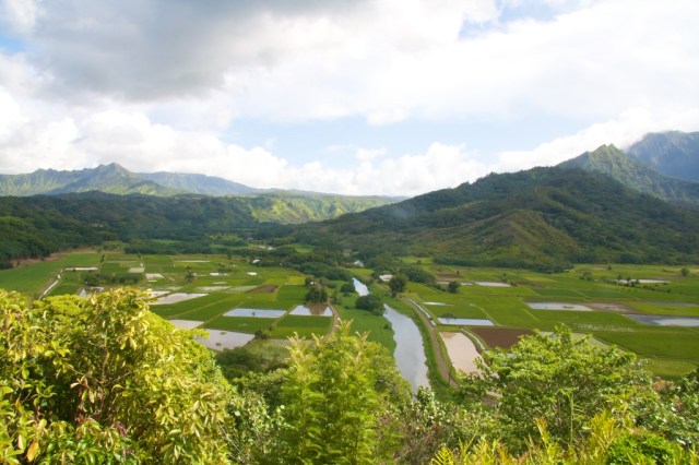 Scenic Overlook near Princeville