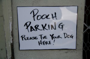 Pooch Parking
