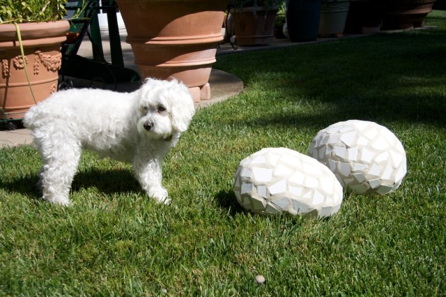 dog, mosaic eggs