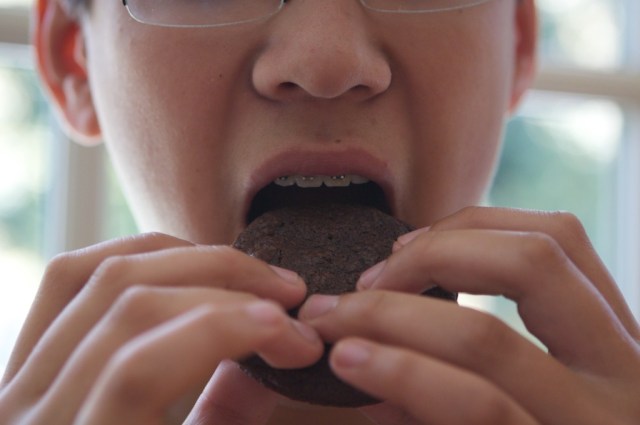 piecedgoods Eric Biting Chocolate Cookie, San Mateo County Fair Entry