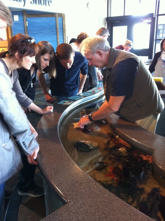piecedgoods Monterey Touchpool