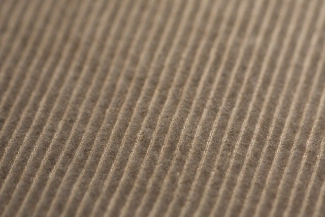 Corduroy