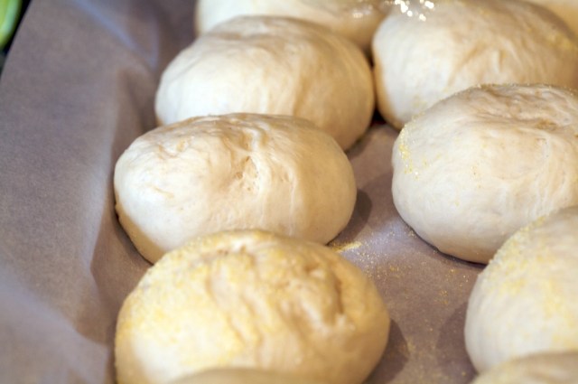 EnglishMuffins5