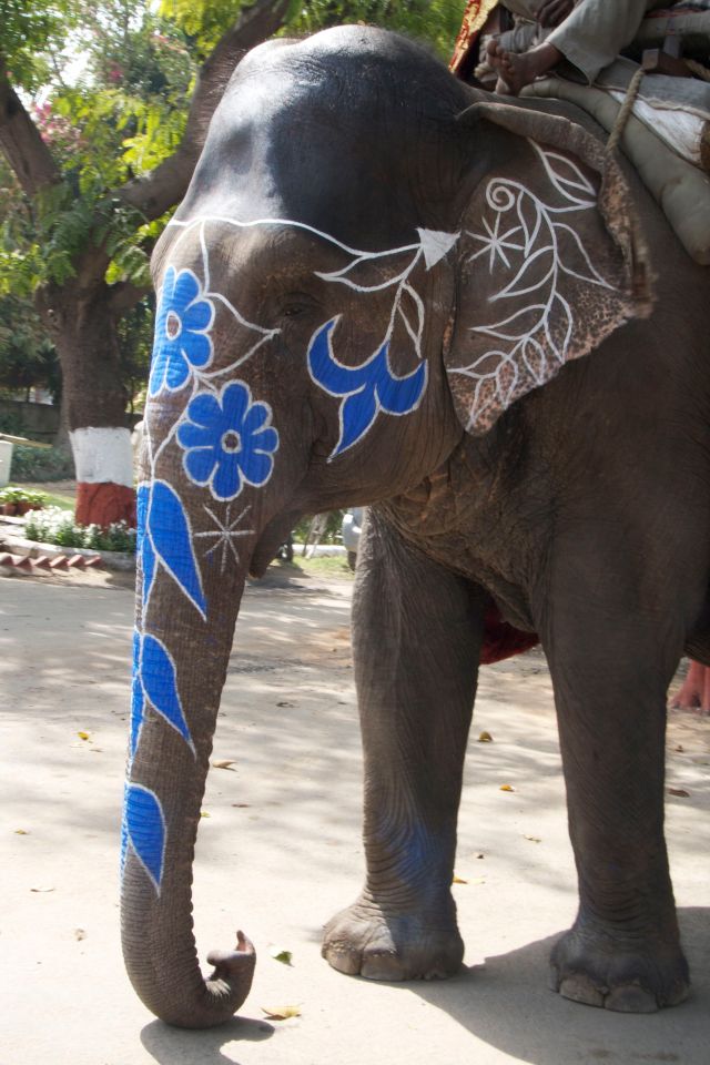 Painted Elephant