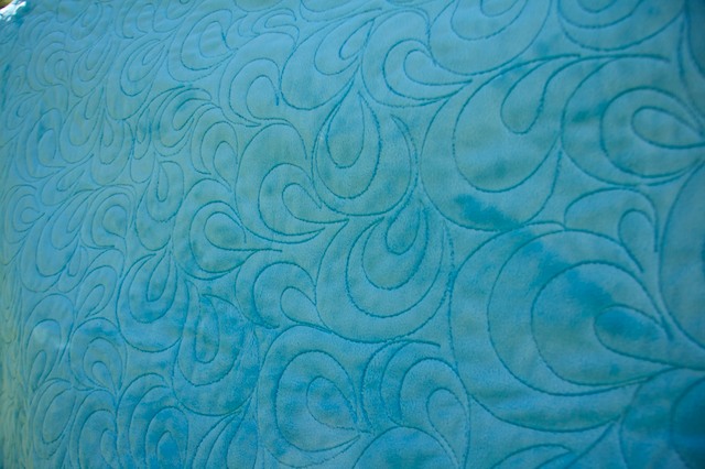 Minkee Back BRex Quilt