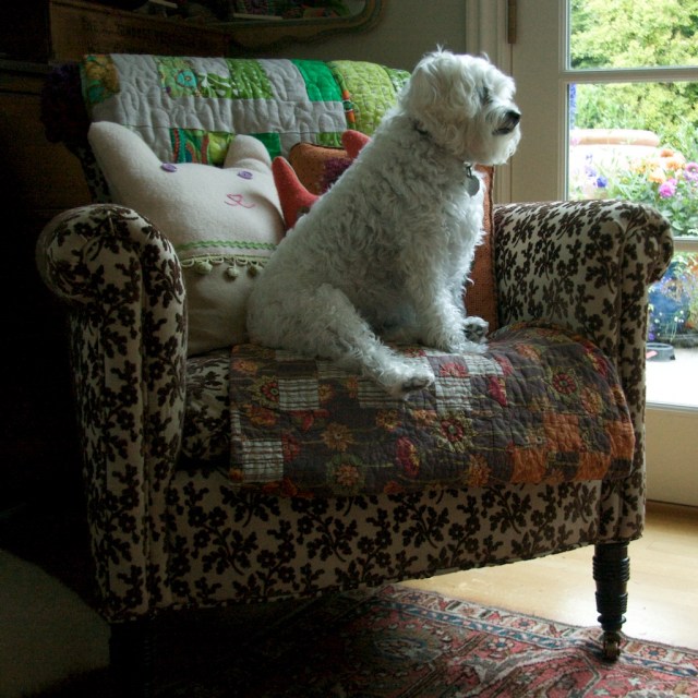 piecedgoods Chair July Photo a day - Chair