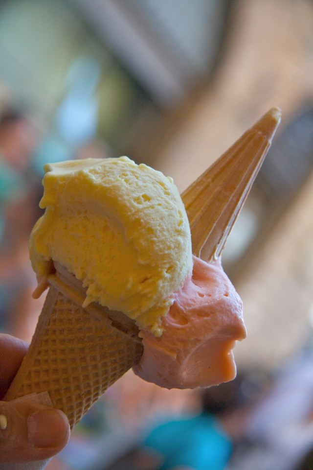 July Photo a Day - Bought