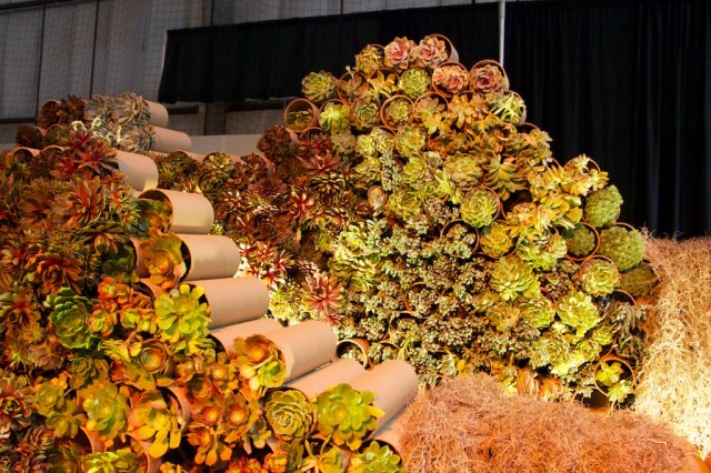 Piecedgoods SF Flower and Garden Show  120