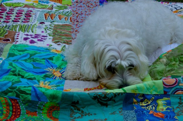 Schnap Mini Totoro Quilt  185