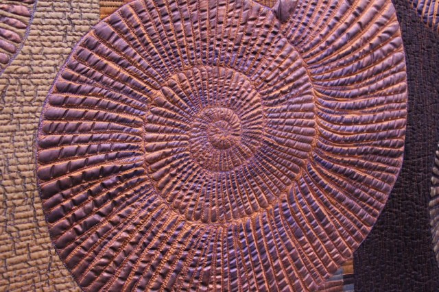 Kimberly Lacy - Ammonites Detail