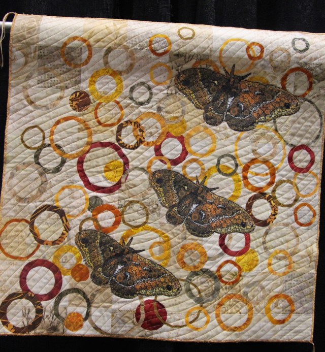 Kathy Shaker - Ringed Moth